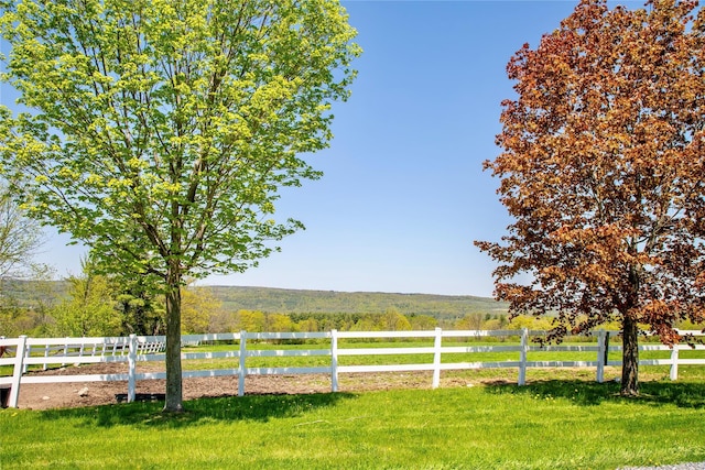 535 Upper Brown Rd, Call Listing Agent, NY 12066 - view of yard