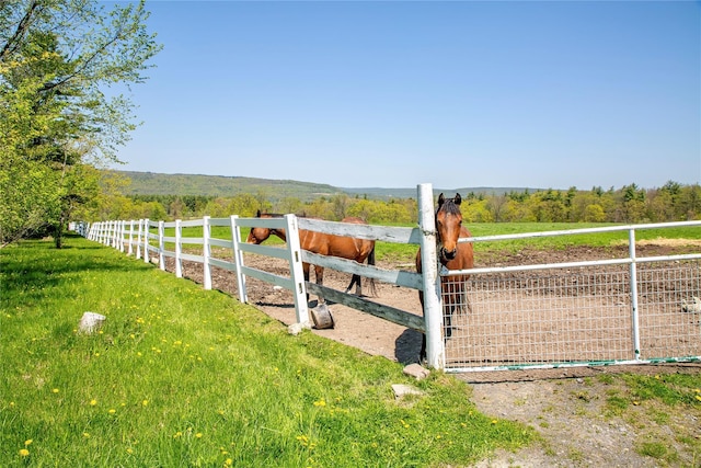 535 Upper Brown Rd, Call Listing Agent, NY 12066 - view of yard with a view of rural / pastoral area and fence