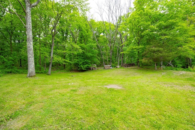 225 N Smith Rd, Lagrangeville, NY 12540 - photo 23