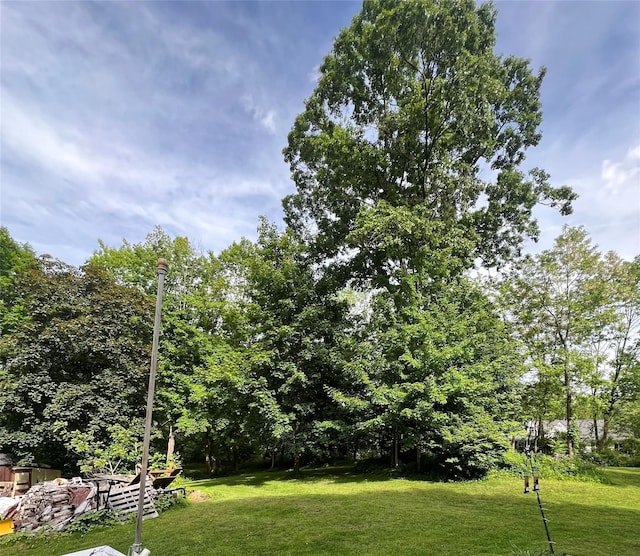 24 Rte 217, Hudson, NY 12534 - view of green lawn