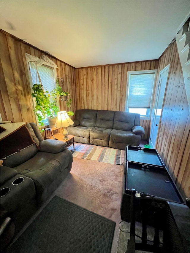 24 Rte 217, Hudson, NY 12534 - living area featuring wooden walls and carpet flooring