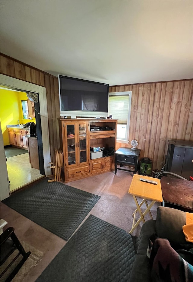 24 Rte 217, Hudson, NY 12534 - carpeted living room featuring wooden walls and a sink