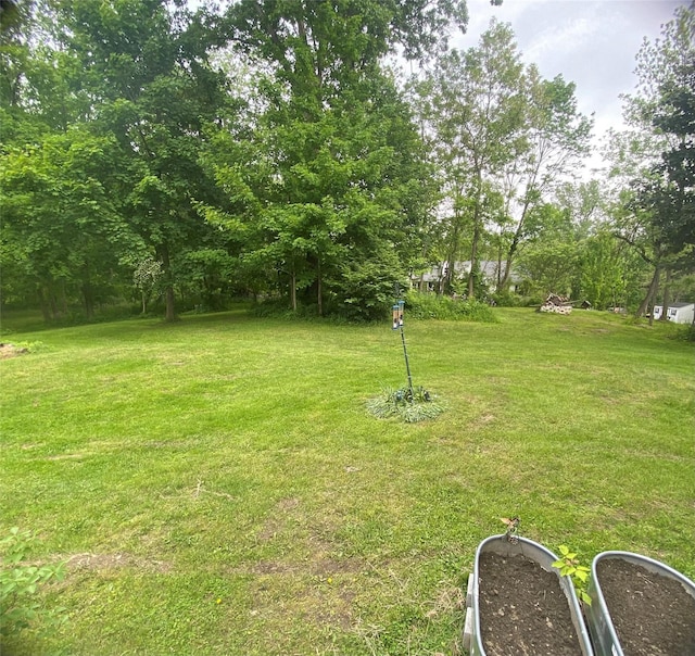 24 Rte 217, Hudson, NY 12534 - view of grassy yard