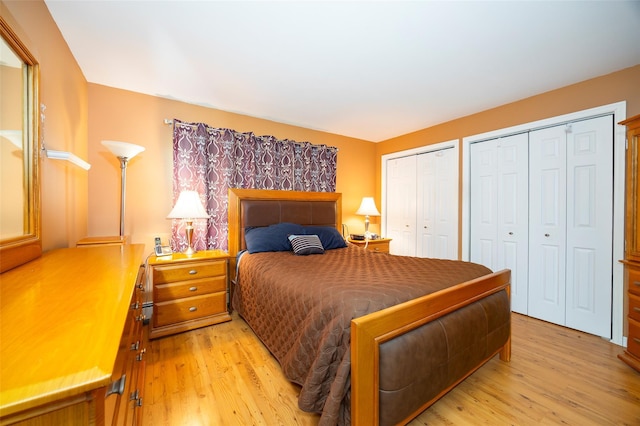 33 Roberts Rd, Wappingers Falls, NY 12590 - bedroom with multiple closets and light wood-style floors