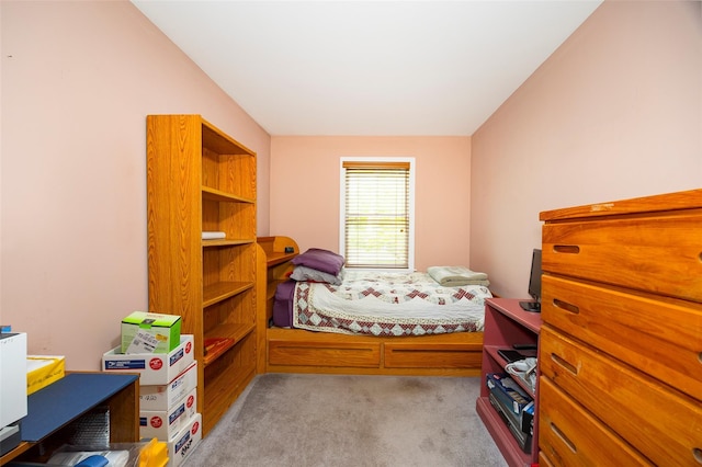 33 Roberts Rd, Wappingers Falls, NY 12590 - bedroom with light carpet