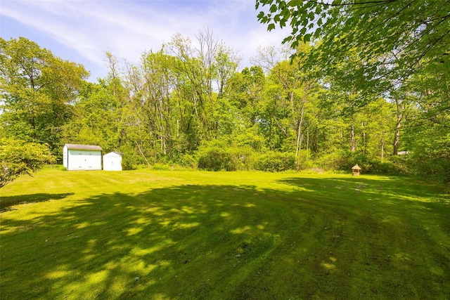 33 Roberts Rd, Wappingers Falls, NY 12590 - view of grassy yard featuring a shed, an outdoor structure, and a detached garage