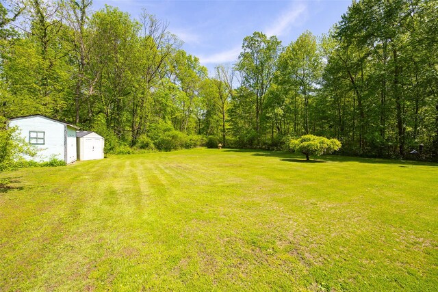 33 Roberts Rd, Wappingers Falls, NY 12590 - view of green lawn with a shed and an outbuilding