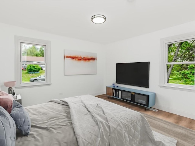 3 Idlewild Dr, Hyde Park, NY 12601 - bedroom with multiple windows, wood finished floors, and baseboards