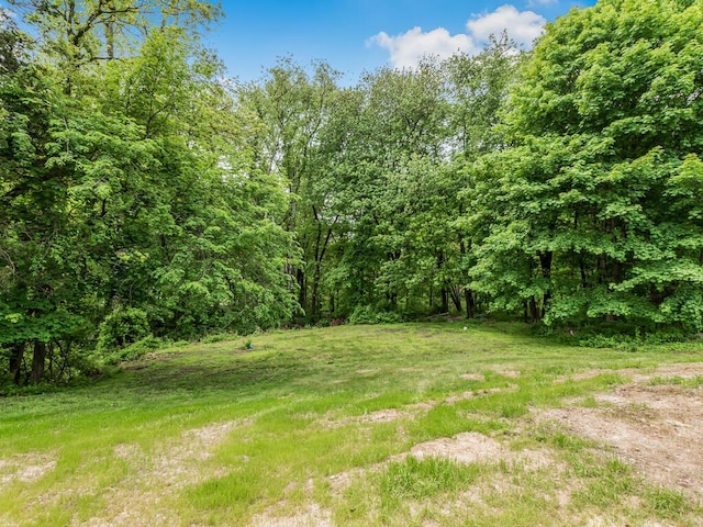 3 Idlewild Dr, Hyde Park, NY 12601 - view of yard featuring a view of trees