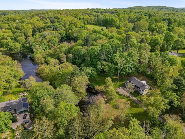 drone / aerial view of a forest and a large body of water