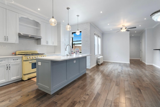 89-10 35th Ave Unit F2L, Jackson Heights, NY 11372 - kitchen with stainless steel range, radiator heating unit, under cabinet range hood, light countertops, and crown molding