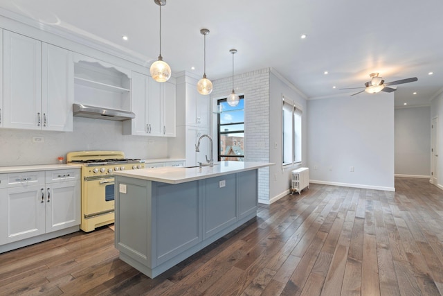 89-10 35th Ave Unit F2L, Jackson Heights, NY 11372 - kitchen with double oven range, a sink, radiator heating unit, light countertops, and dark wood-type flooring