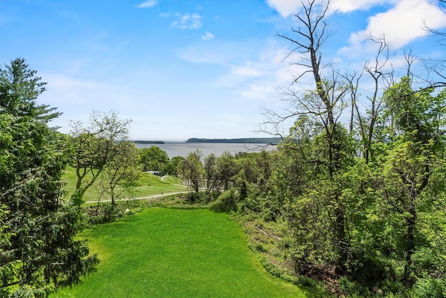 1260 Albany Post Rd, Croton-On-Hudson, NY 10520 - view of grassy yard with a water view