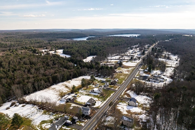 3342 State Route 42, Monticello, NY 12701 - photo 43