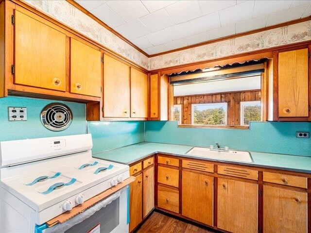58 Hathorn Blvd, Port Jervis, NY 12771 - kitchen with gas range gas stove, a sink, light countertops, and dark wood finished floors