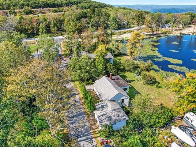58 Hathorn Blvd, Port Jervis, NY 12771 - aerial view of a forest and a nearby body of water