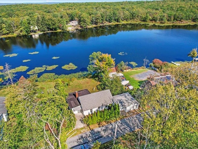 58 Hathorn Blvd, Port Jervis, NY 12771 - view of subject property featuring a heavily wooded area and a large body of water