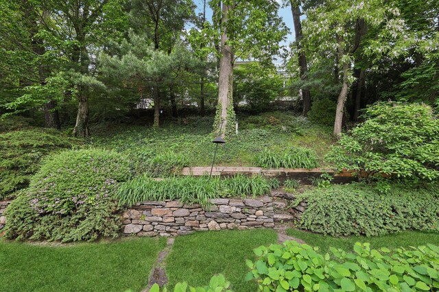 56 Rolling Way, New Rochelle, NY 10804 - view of yard