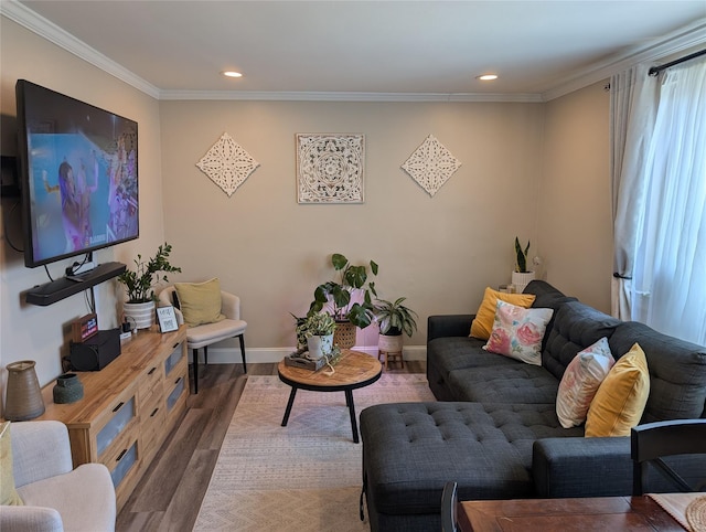 261-34 Langston Ave Unit E-2, Glen Oaks, NY 11004 - living room with wood finished floors, recessed lighting, crown molding, and baseboards