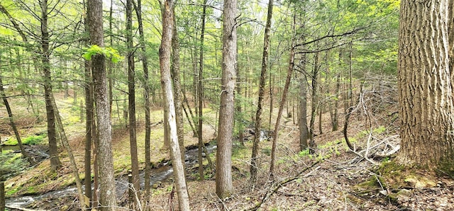 view of tree filled area
