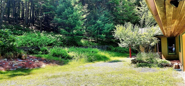 66 Hillside Rd, Barryville, NY 12719 - photo 50