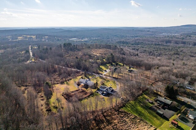 158 Wade Rd, Liberty, NY 12754 - photo 46