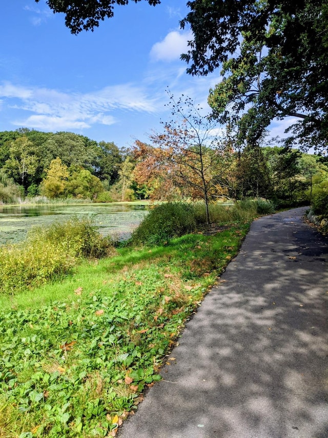 view of community with a view of trees and a water view