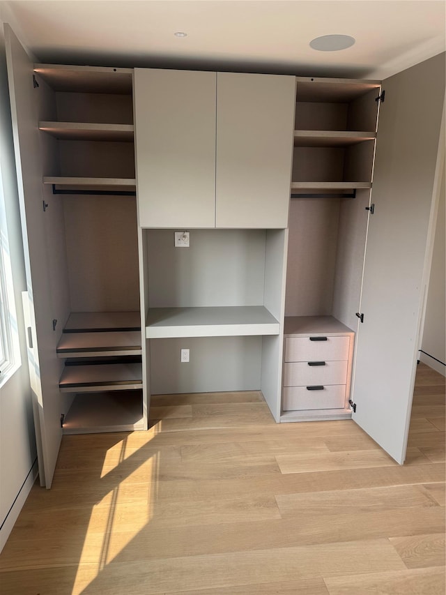 357 Argyle, Cedarhurst, NY 11516 - view of closet