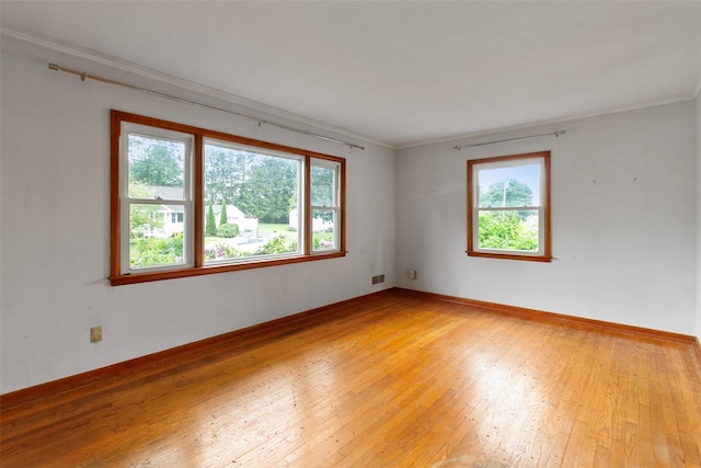 21 Patricia Ave, Fishkill, NY 12524 - unfurnished room featuring plenty of natural light, light wood-type flooring, crown molding, and baseboards