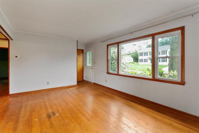 21 Patricia Ave, Fishkill, NY 12524 - spare room featuring light wood-style flooring, crown molding, and baseboards