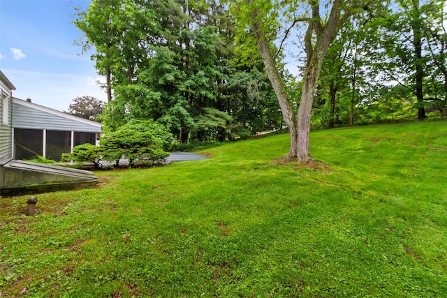 21 Patricia Ave, Fishkill, NY 12524 - view of grassy yard