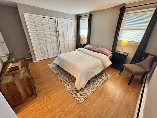 49 N Chestnut St, Beacon, NY 12508 - bedroom with light wood-style flooring, multiple windows, and multiple closets