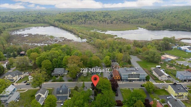 239-241 Hurleyville Main St, Hurleyville, NY 12747 - drone / aerial view of a forest and a large body of water