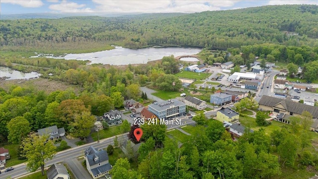 239-241 Hurleyville Main St, Hurleyville, NY 12747 - view of property location with a heavily wooded area and a large body of water
