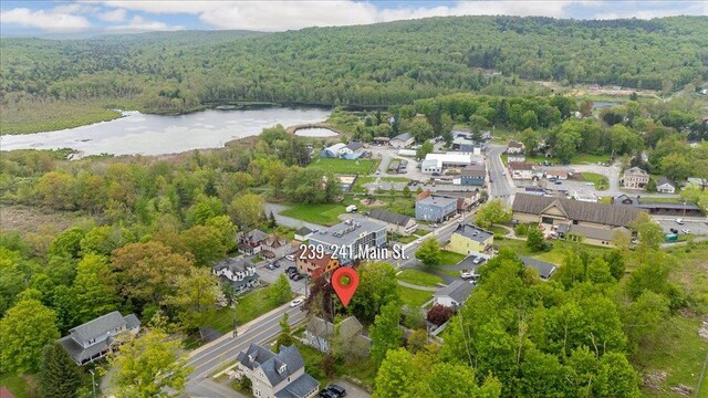 239-241 Hurleyville Main St, Hurleyville, NY 12747 - aerial view of property's location featuring a forest, a large body of water, and nearby suburban area