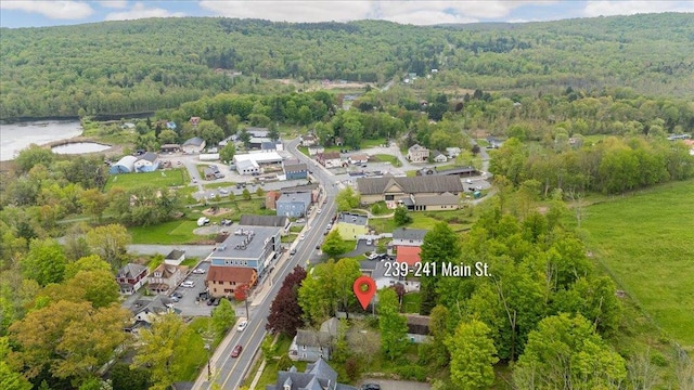 239-241 Hurleyville Main St, Hurleyville, NY 12747 - view of property location with a heavily wooded area