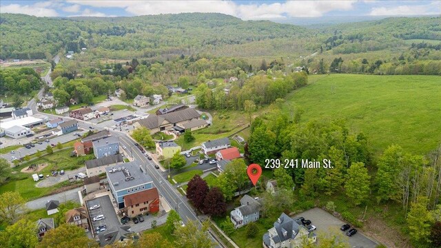 239-241 Hurleyville Main St, Hurleyville, NY 12747 - view of property location with a heavily wooded area and nearby suburban area