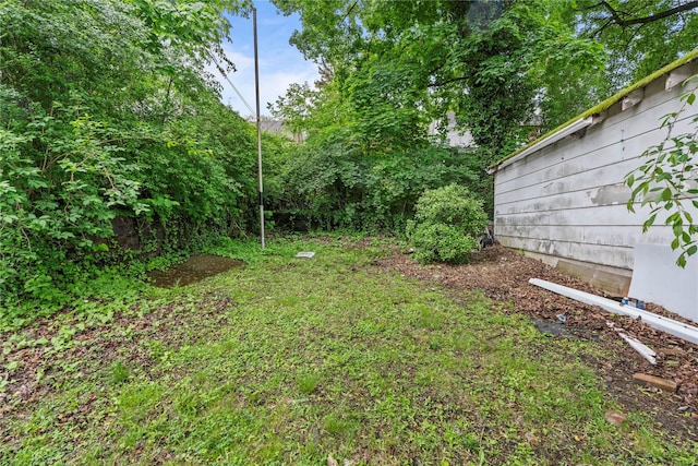view of yard
