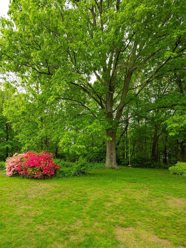 136 Foggintown Rd, Brewster, NY 10509 - view of grassy yard