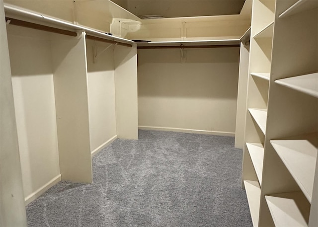 spacious closet featuring carpet floors