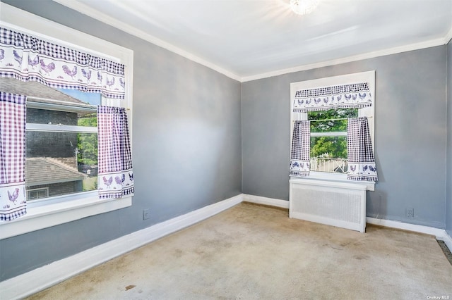 spare room featuring crown molding, carpet, and baseboards