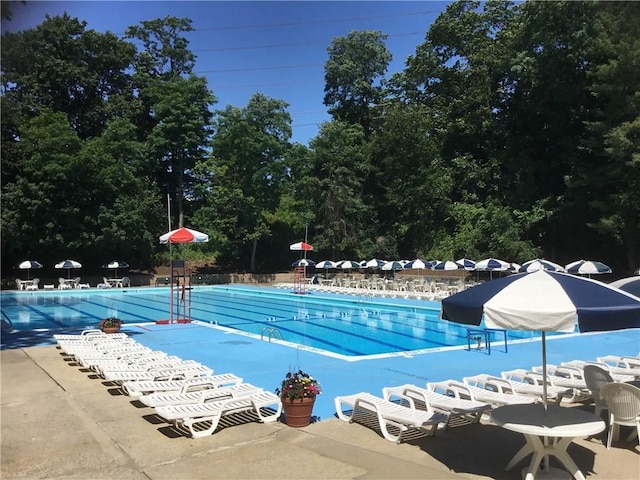 community pool featuring a patio area