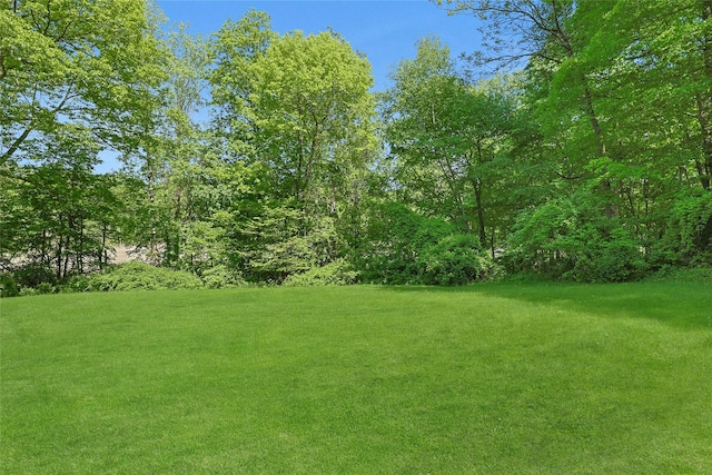 14 Cross Rd, Cortlandt Manor, NY 10567 - view of grassy yard