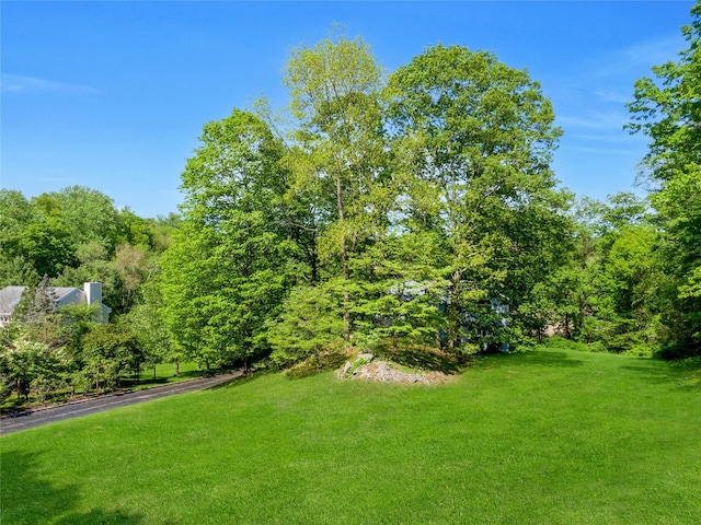 14 Cross Rd, Cortlandt Manor, NY 10567 - view of grassy yard featuring a wooded view