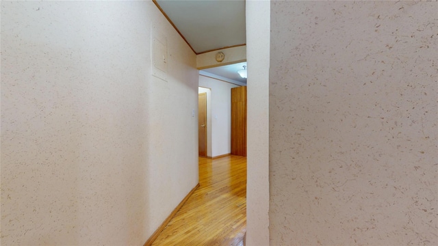 3250 Coney Island Ave Unit E15, Brooklyn, NY 11235 - hall with light wood finished floors and ornamental molding
