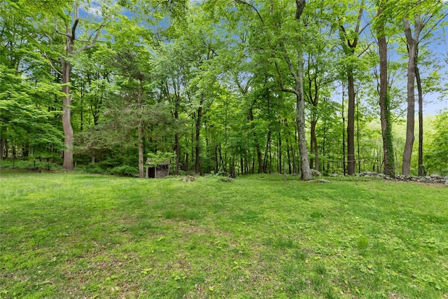 96 Warren St, Somers, NY 10589 - view of green lawn