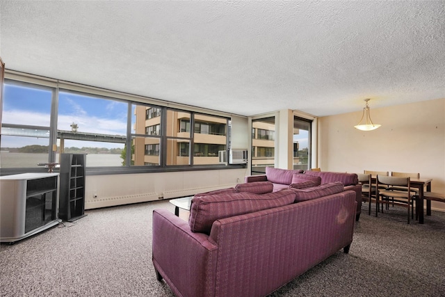 living area featuring carpet floors and a textured ceiling