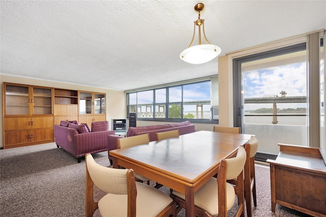 carpeted dining area with a textured ceiling