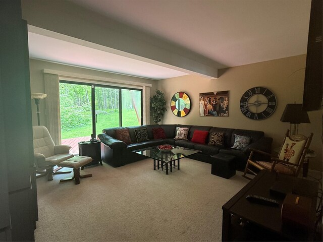 7 Kathleen Ct, Kiamesha Lake, NY 12751 - photo 6