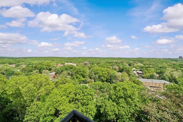 aerial view of a forest
